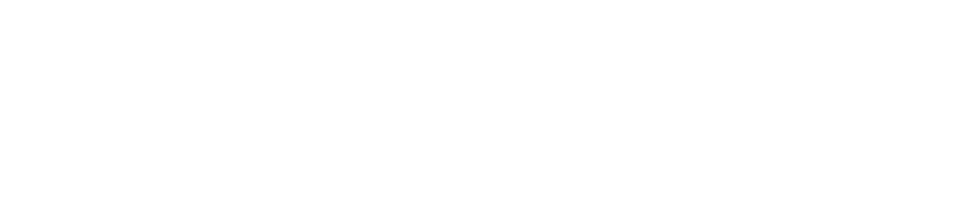 Prosec logo white